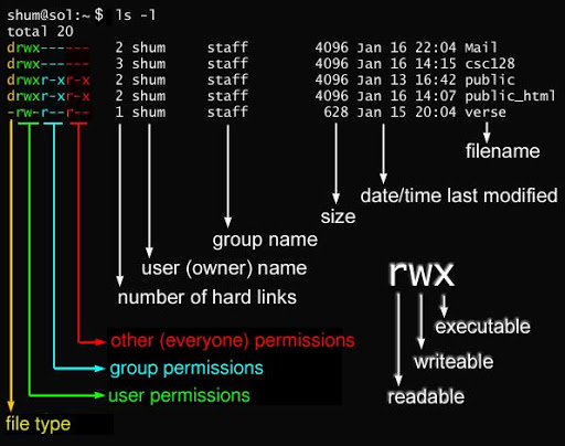 Linux  文件基本属性