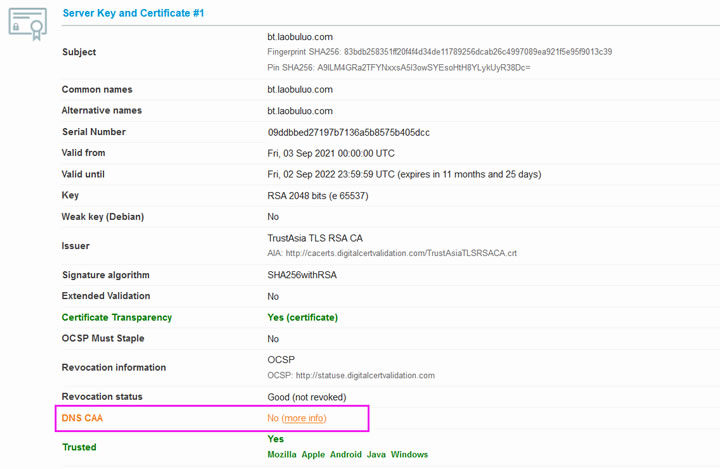 基于宝塔面板开启TLS 1.3且设置DNS CAA和DNSSEC实现SSL评分A+