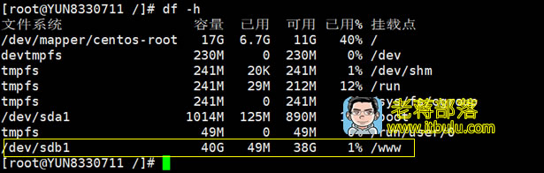 Linux VPS系统盘已满后挂载数据盘且平移迁移网站数据