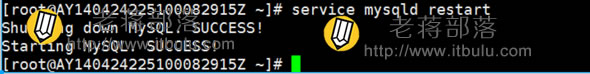 重新启动MYSQL