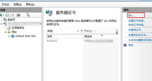 常规网站Web环境配置SSL证书 - Nginx、Apache、IIS