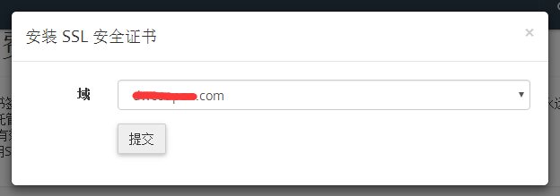选择安装SSL证书域名