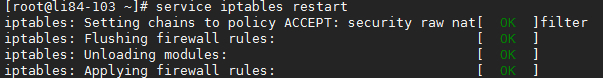 iptables启动完成