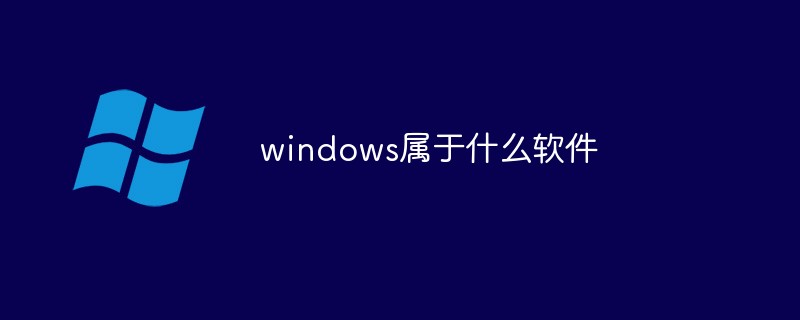 windows属于什么软件